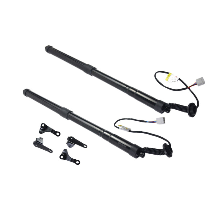 Rear Tailgate Struts 2x Suitable for Lexus NX 2.0L 2.5L-0